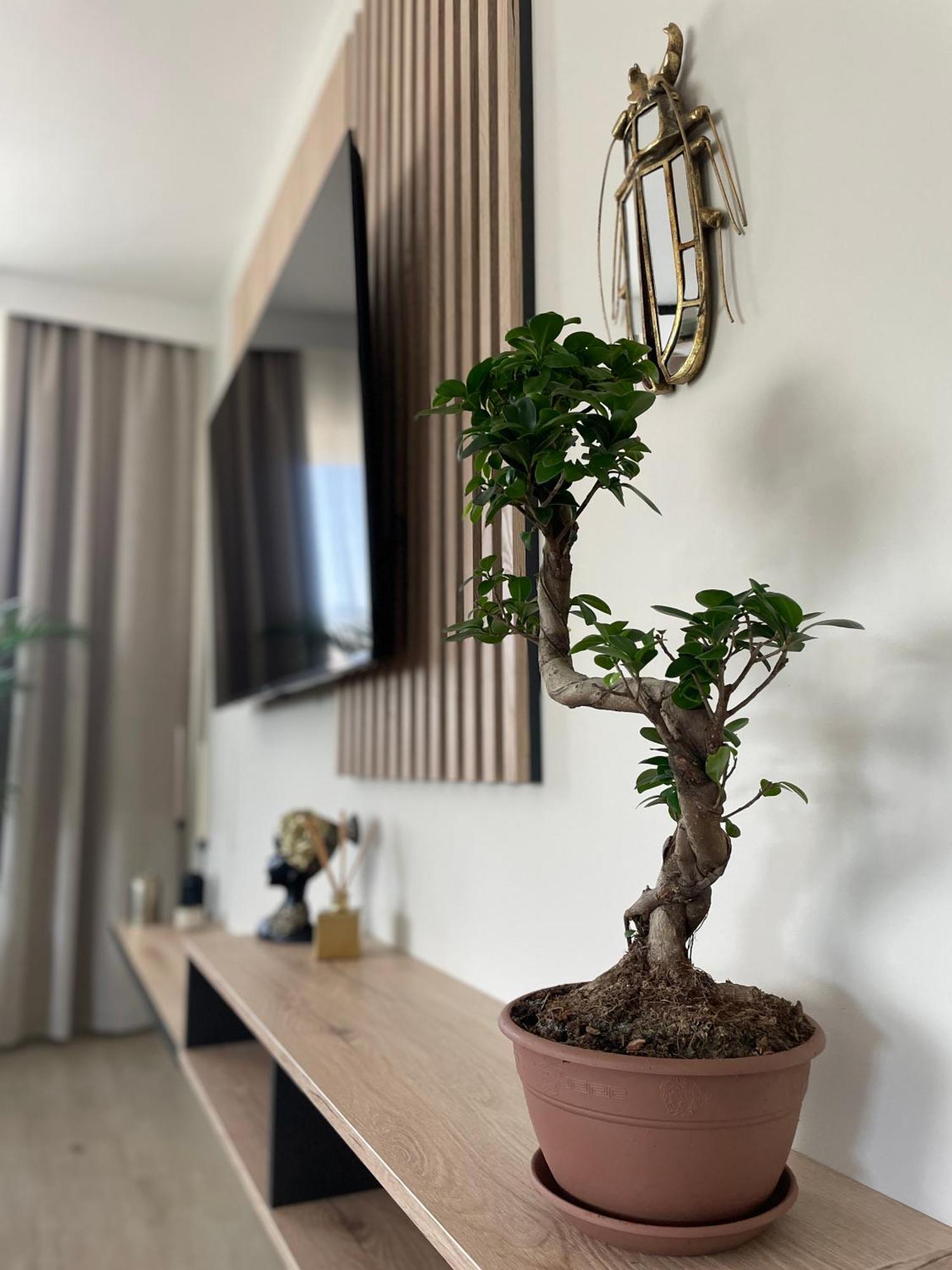 Apartament 13 Кельце Екстер'єр фото